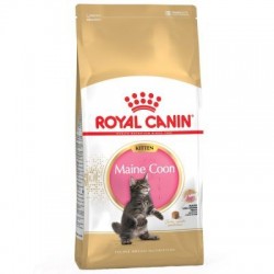 Royal Canin Chat Kitten...