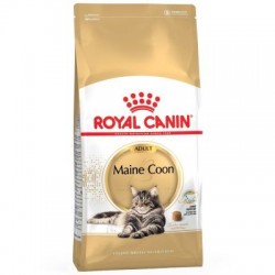 Royal Canin Chat Maine Coon...