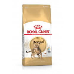 Royal Canin Chat Bengal en 2kg
