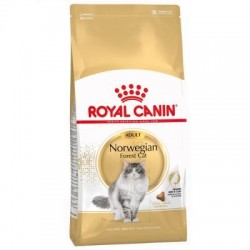 Royal Canin Chat Norvégien...