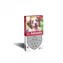 Pipettes Advantix chiens...