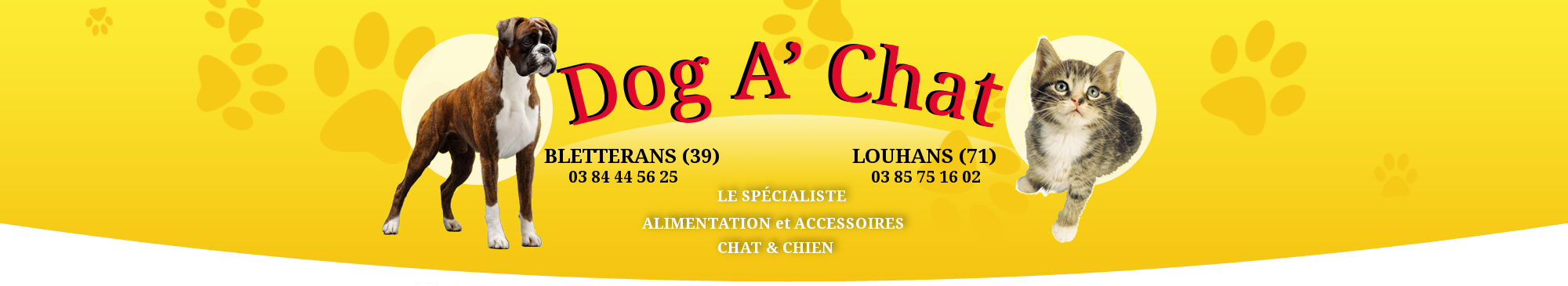 Dog A'chat
